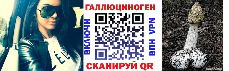 Купить где  Белоусово  Галлюциногенные грибы Cubensis 